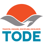 Picture of Editor TODE